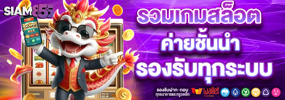 SIAM855